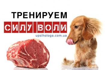 тренировка силы воли