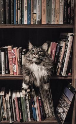 Лучшие книги по психологии