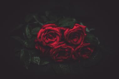 печель утраты