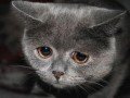 Умеете ли вы сострадать?