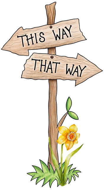 choice