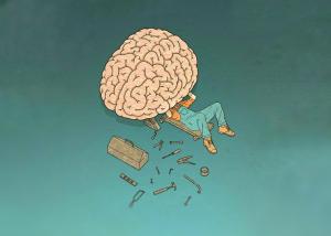 Brain