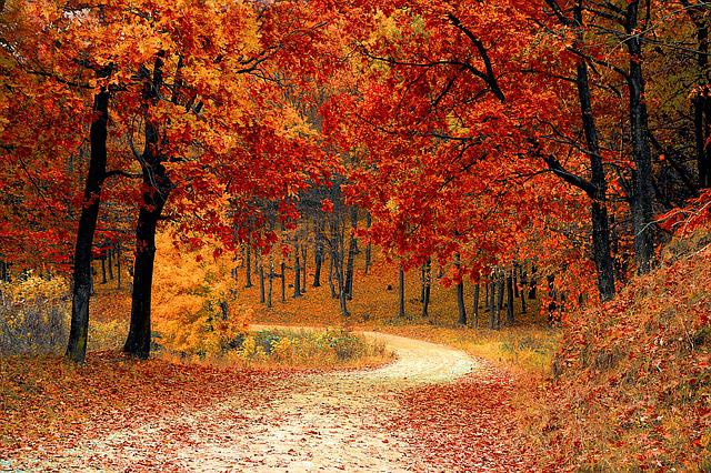 road