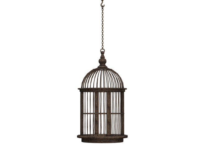 клетка